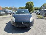 Fiat Punto 1.2i 8V Klima Media Tel Euro 4 - gebrauchte Fiat Punto aus dem Jahr 2007
