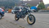 Ducati Scrambler  Desert Sled  - DUCATI SCRAMBLER