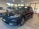 Ford Kuga 1.5 EcoBlue 120 CV aut. 2WD ST-Line - Ford Kuga mit Diesel-Antrieb: Kombi, Automatik