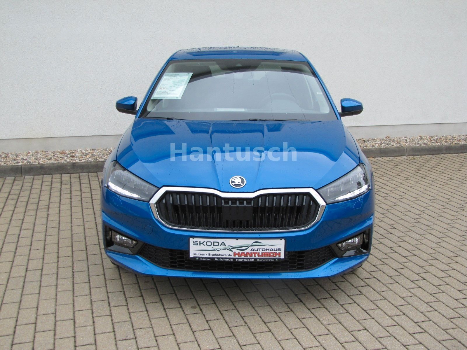 Fahrzeugabbildung SKODA Fabia Selection 1.0l TSI 95PS