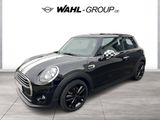 MINI One First 3-TÜRER SALT II KLIMA SHZG SPORT-LENKR - MINI MINI: Sport