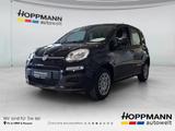Fiat Panda 1.0 Mild Hybrid Pandina Icon
