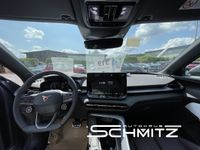 Cupra Terramar - Vorschau Bild 8