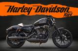Harley-Davidson XL883N Sportster Iron 883 - Racer Umbau 1200ccm - HARLEY-DAVIDSON 883 R