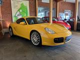 Porsche Cayman S* 6- GANG* SPEED GELB, MOTOR 1.000 KM* - Porsche: Motor