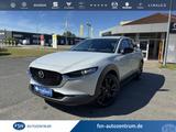 Mazda CX-30 2.5 140PS AT Homura LED Kamera NAVI - Mazda CX-30 Neuwagen