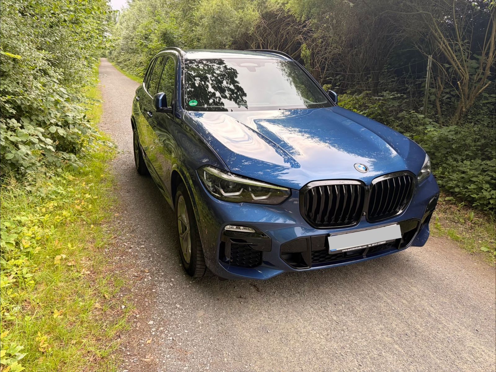 BMW BMW X5 xDrive45e M Sport | Vollausstattung