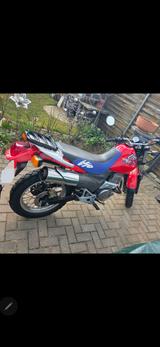 Honda Mondesa SLR650 - Offers