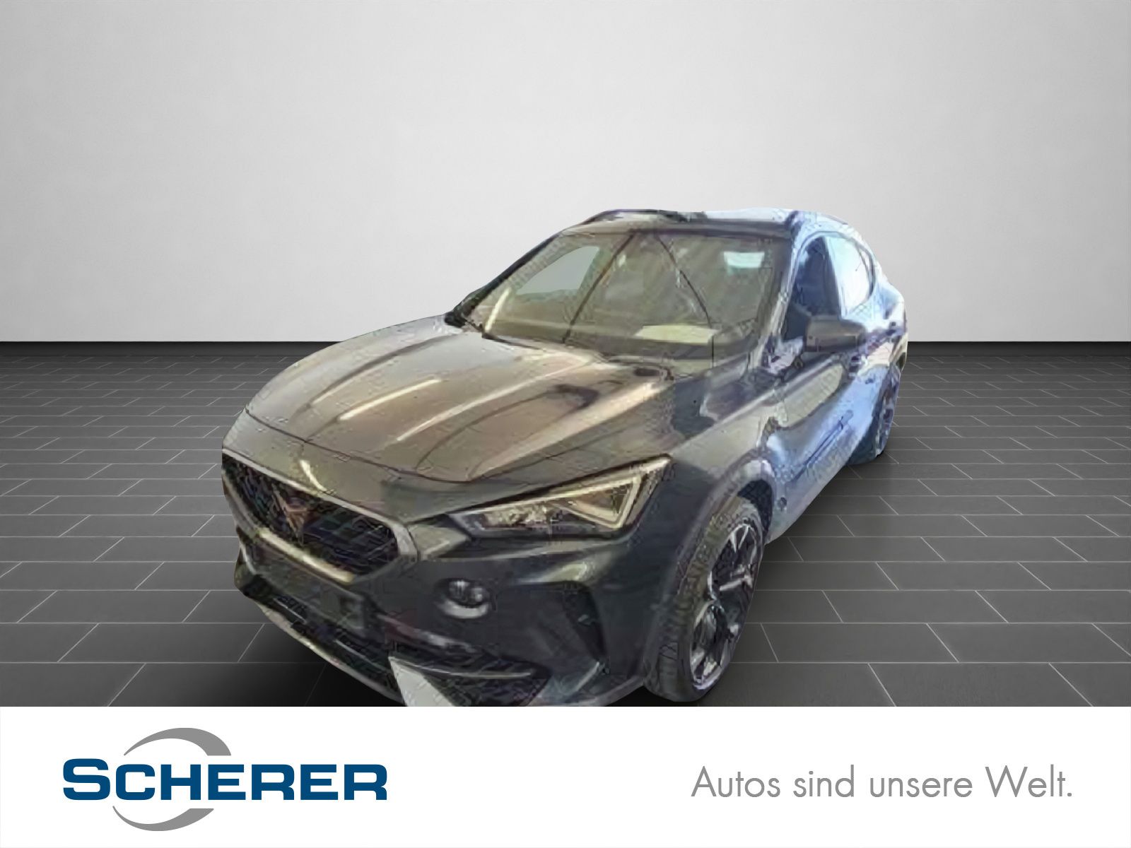 Cupra Formentor 1.5 TSI DSG PANO AHK 360° KAM NAVI SHZ