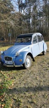 Citroën Citroen 2CV (Ente) DER HINGUCKER - Citroën 2 CV: Ente