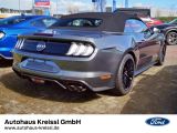 Ford Mustang Convertible GT 5.0 V8 Automatik MagneRid - Ford Mustang in Frankfurt (Main)