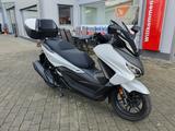 Honda FORZA 350 NSS350 + 6 Jahre Garantie - NEU - 0KM - Offers