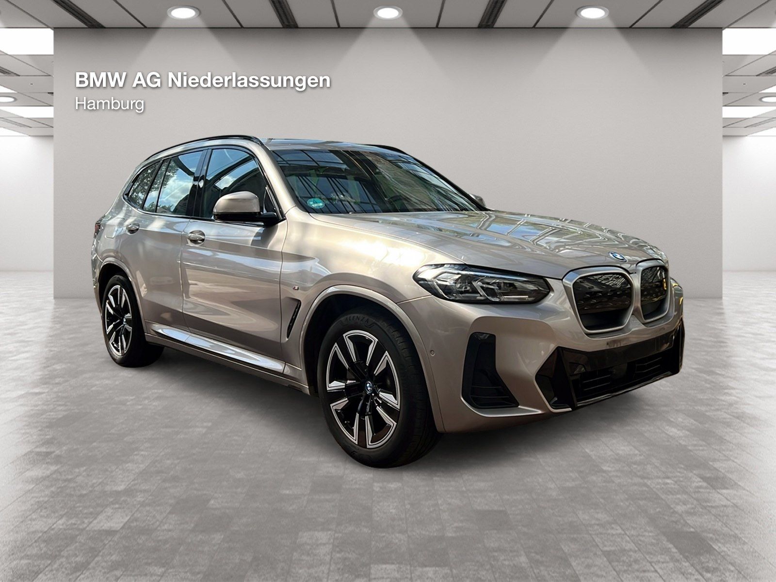 BMW iX3 M Sport AHK Driv.Assist.Prof Kamera LED foto 6