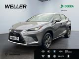 Lexus NX 300h Amazing Edition *Bi-LED*ACC*CAM*CarPlay* - Lexus aus 2021