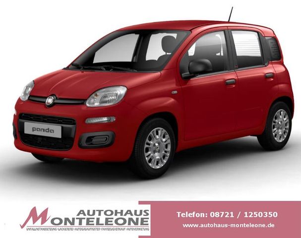Fiat Panda MY25 Pandina ICON Hybrid | PDC | 5Sitze
