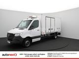 Mercedes-Benz Sprinter 516 Maxi ThermoKing V300-MAX -20° Tiefk