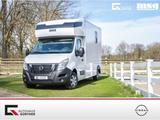 Nissan Interstar Stablehopper Stallion Light SafetyPack - Angebote