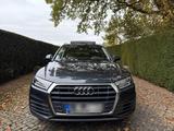 Audi Q5 FY 2.0 TDI Panorama LED  Rotor 19 ... - Audi Q5 FY mit Diesel-Antrieb