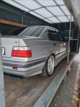 BMW Suche Bmw e36 e46 330i 330xi 328i 325i 323... - BMW 323: E36 323i