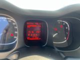 Fiat Panda Cross 1.0 Hybrid - Fiat Panda aus 2023