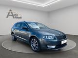 Skoda Octavia Combi 1.4 TSI Edition SHZ PDC TEM BI-XEN - Skoda Gebrauchtwagen in Stuttgart