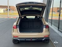 Audi RSQ8 - Vorschau Bild 6