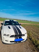 Ford Mustang CS/GT 5,0 - Ford Gebrauchtwagen von 2013