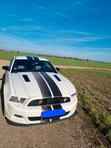 Ford Mustang CS/GT 5,0 - Ford in Erfurt