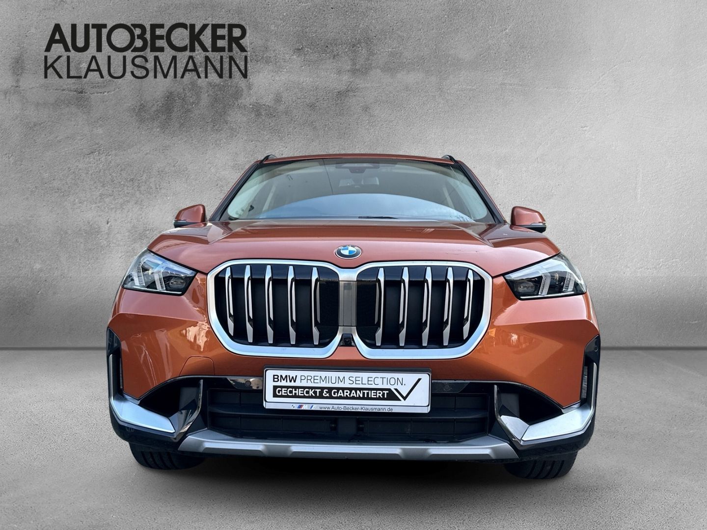BMW X1 xDrive23i xLINE 18''LC PROF AHK HuD PANO SPOR foto 5