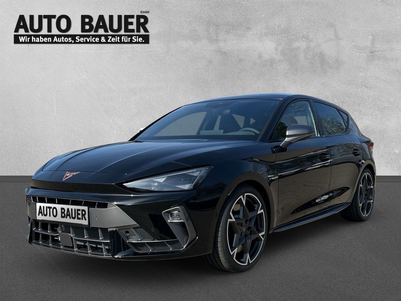 Fahrzeugabbildung CUPRA Leon VZ 2.0 TSI 7-Gang-DSG