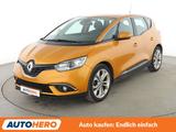 Renault Scenic 1.2 TCe Energy Experience *PDC*TEMPO*ALU* - Renault: Gelb