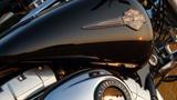 Harley-Davidson FXDF DYNA FAT BOB, AMC, 200er, TOP GEPFLEGT  - Offers matching your search criteria