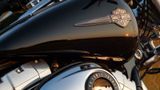Harley-Davidson FXDF DYNA FAT BOB, AMC, 200er, TOP GEPFLEGT  - HARLEY-DAVIDSON 2009 FXDF DYNA FAT BOB