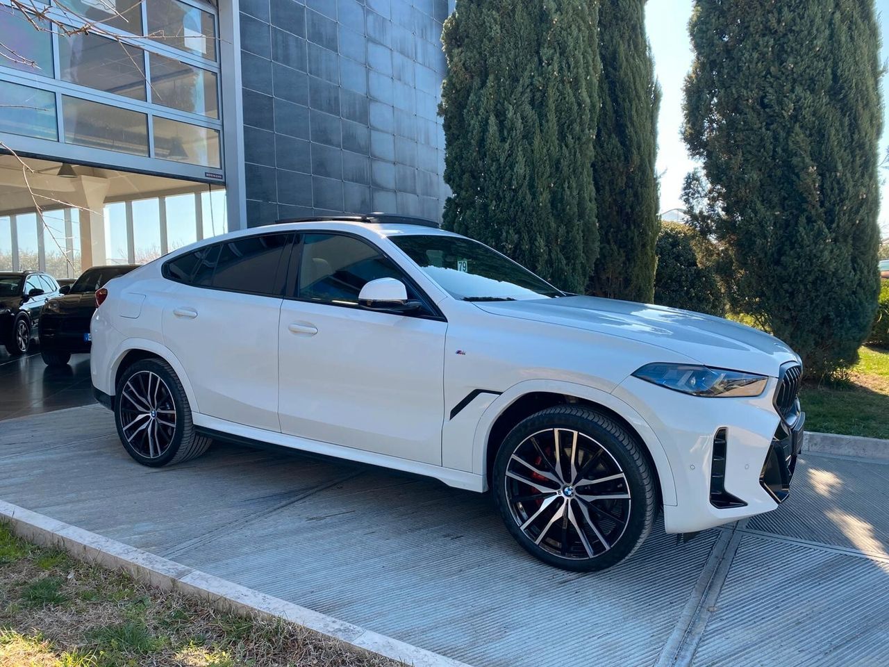 BMW Bmw X6 xDrive30d 48V MSport Pro imagem 3