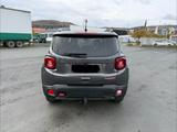 Jeep Renegade 2.0 MultiJet 125kW D Trailhawk 4x4 ... - Jeep Renegade: 1.0