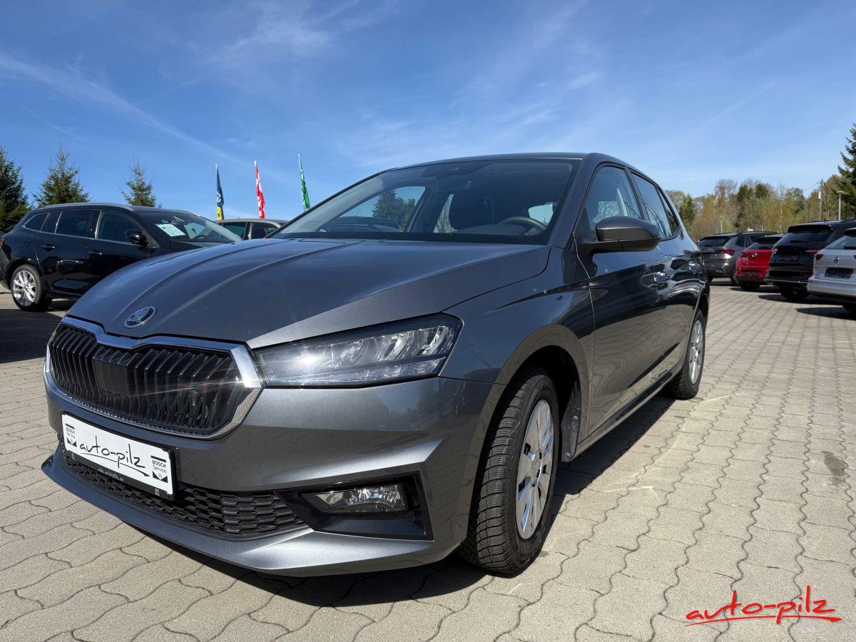 Skoda Fabia Selection Sitzheiz. PDC Klimaautom.