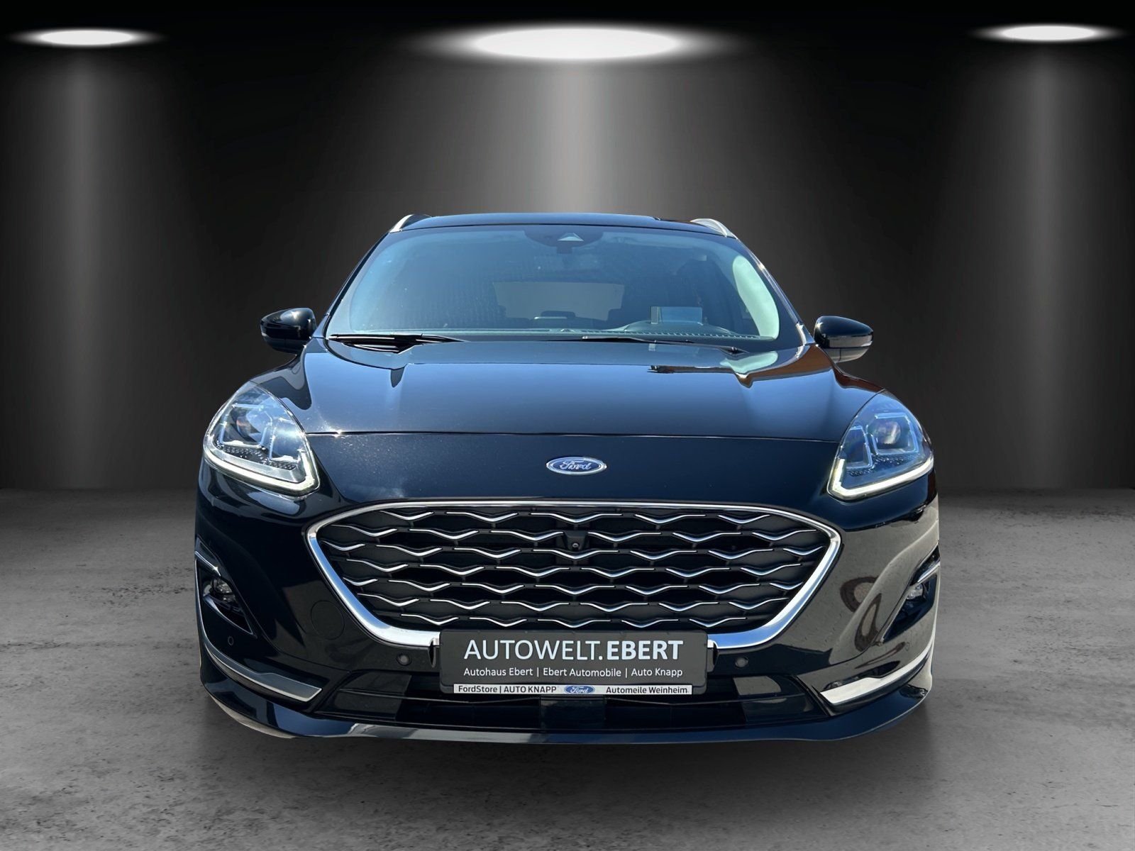 Fahrzeugabbildung Ford Kuga 2.5 PHEV Vignale Aut./LED/ACC/KAMERA/SHZ/