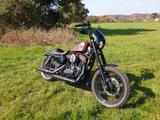 Harley-Davidson Sportster Nightster XL1200N  - HARLEY-DAVIDSON 2008 SPORTSTER 1200