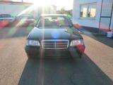 Mercedes-Benz C 240 SPORT - Mercedes-Benz C 240 mit Benzin-Antrieb