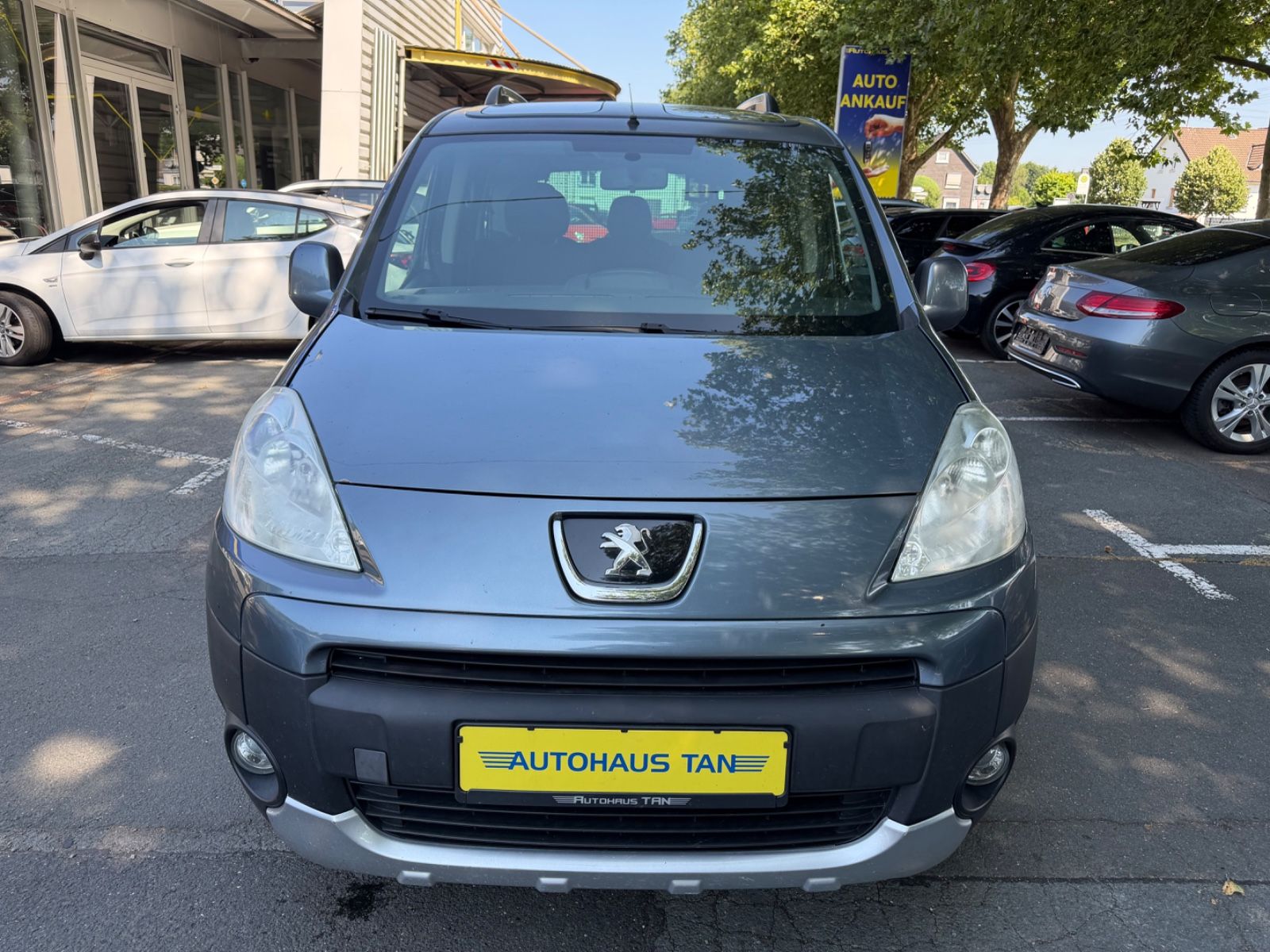 Fahrzeugabbildung Peugeot Partner Tepee Family