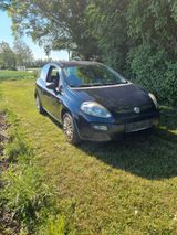 Fiat Punto Evo 1.2 8V Active Active - Fiat Punto Evo: Active