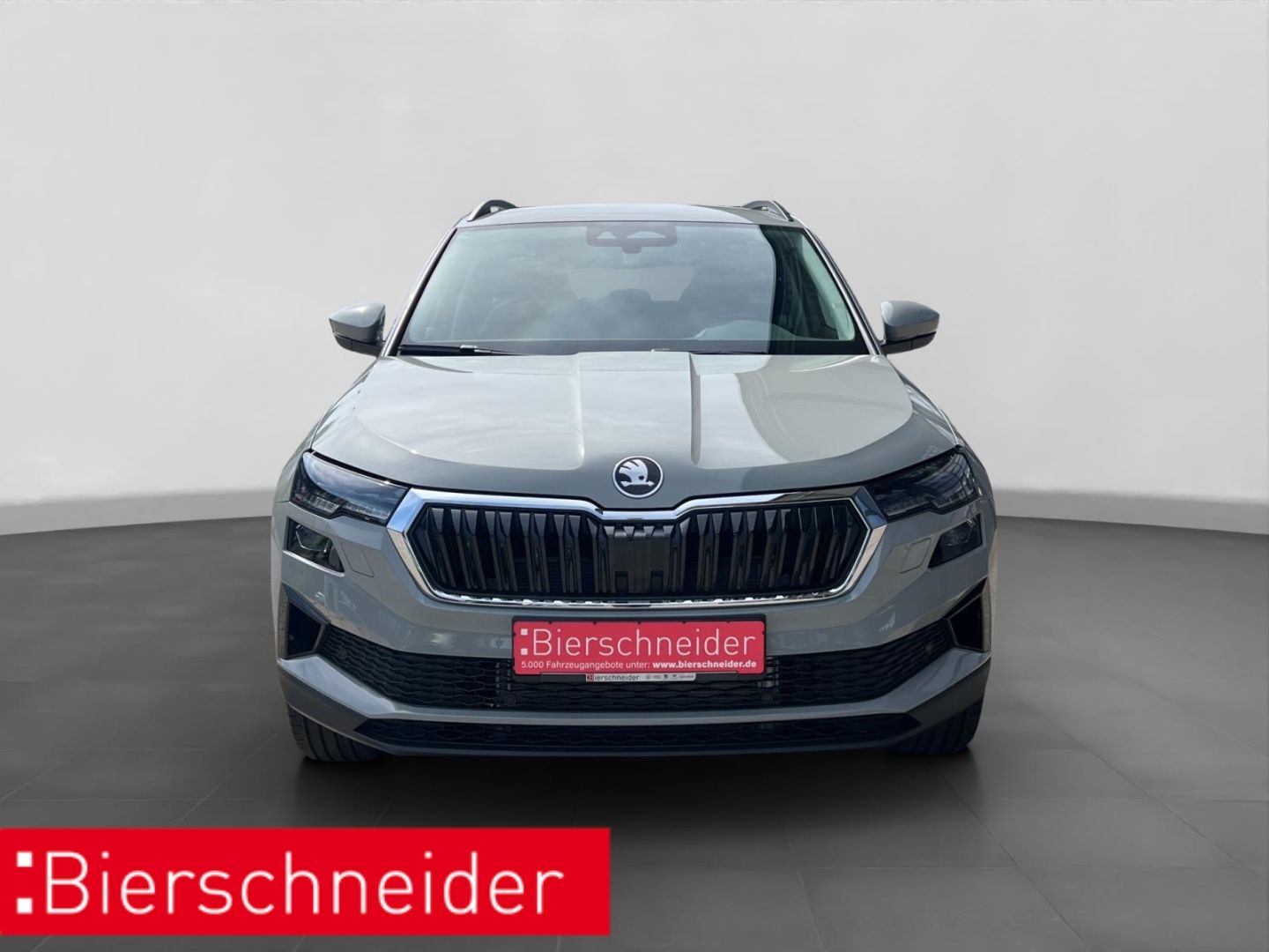 Skoda Karoq - Bild 10