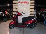 Yamaha D'elight 125 *fast wie neu* - Offers matching your search criteria