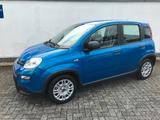 Fiat Panda MY24 1.0 GSE Hybrid Klimaanlage - Fiat Panda Gebrauchtwagen in Aachen