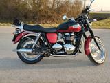 Triumph Bonneville T100 Top Zustand Nur 8.500km TÜV Neu - Triumph T500