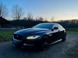 Jaguar XE 20d R-Sport | Schiebedach | RFK | 114t