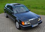 Mercedes-Benz 300 TE   in Perfektion ! - Mercedes-Benz 300 mit Benzin-Antrieb: Kombi, Te