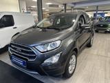 Ford EcoSport 1.0 Titanium PDC WINTER-P SKR+WKR - Ford EcoSport Gebrauchtwagen
