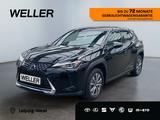 Lexus UX 300e *LED*ACC*el Sitze*Fernlichtassis*CarPlay - Lexus Gebrauchtwagen in Leipzig