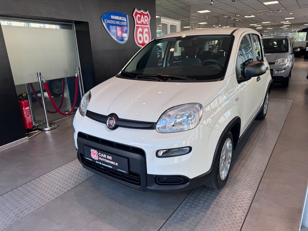Image of Fiat Panda